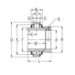 Bearing GNE60-KRRB NKE