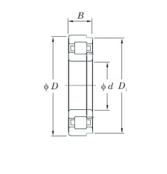 Bearing NUP248 KOYO