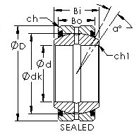 Bearing GEZ63ES-2RS AST