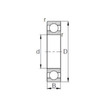 Bearing W6202 CYSD