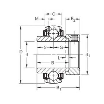 Bearing GN203KLLB Timken