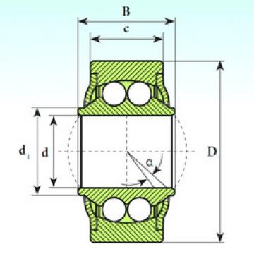 Bearing GE 08 BBH ISB