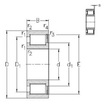 Bearing NCF1836-V NKE