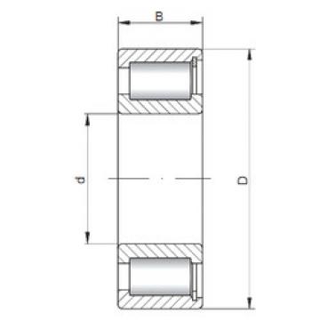 Bearing NCF1872 V ISO