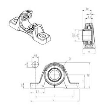 Bearing USPE206 SNR