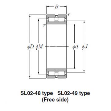 Bearing SL01-4960