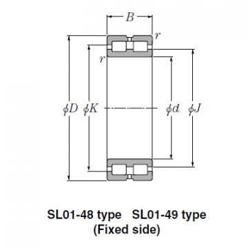 Bearing SL02-4852