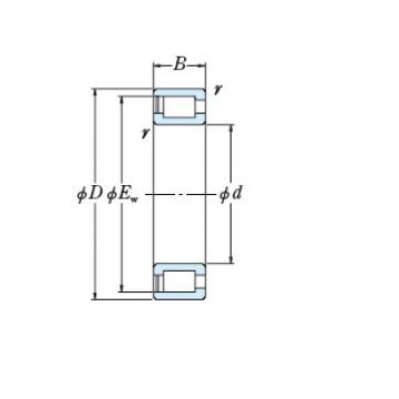 Bearing NCF18/750V