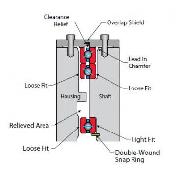 Bearing NG100CP0