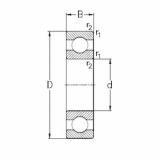 Bearing 619/560-MA NKE