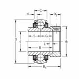 Bearing GN102KLLB Timken