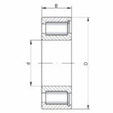 Bearing NCF2215 V ISO