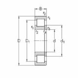 Bearing NUP2318-E-TVP3 NKE