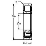 Bearing NUP232 EMA AST