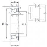 Bearing VEX 50 /S/NS 7CE1 SNFA