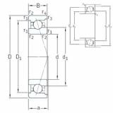 Bearing VEX 20 /NS 7CE1 SNFA