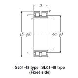 Bearing SL01-4838